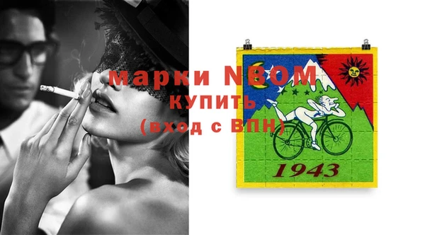 индика Алзамай