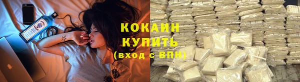 индика Алексин