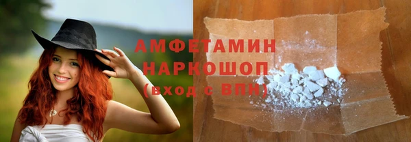 индика Алзамай