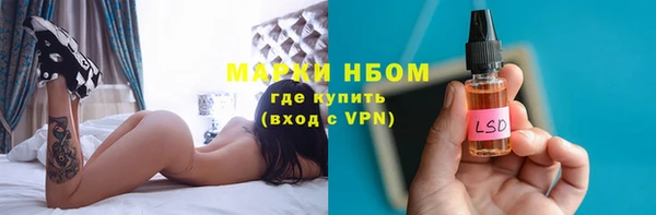 индика Алзамай
