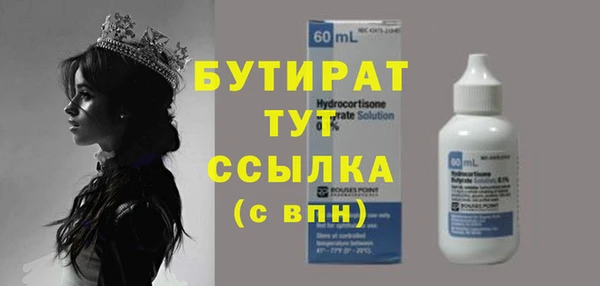 индика Алексин
