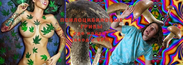 индика Алексин