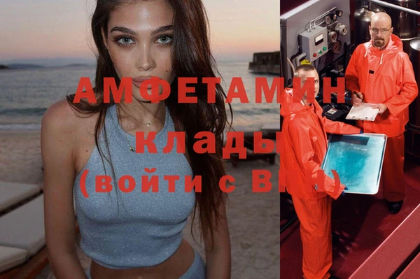 индика Алексин