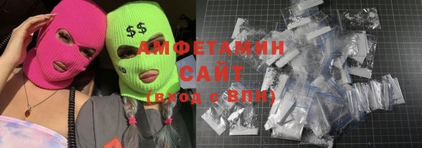 индика Алексин