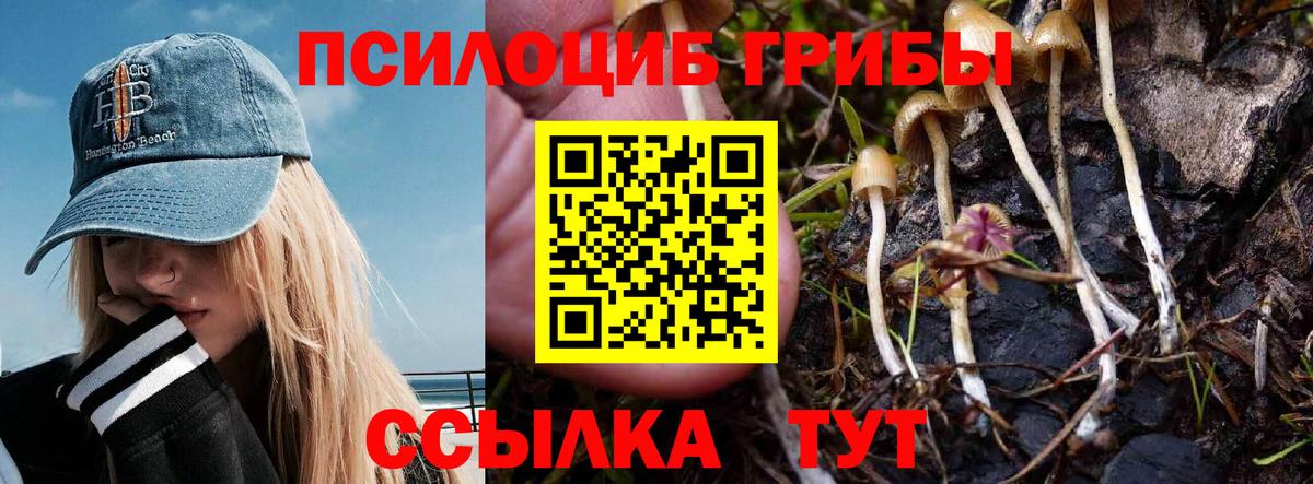 Краснокамск  Галлюциногенные грибы Psilocybe  Вход с VPN  Псилоцибиновые грибы Psilocybe 